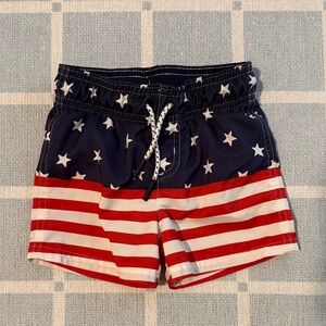 Patriotic Star and Stripe Shorts